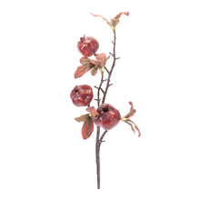 Load image into Gallery viewer, Fall Pomegranate Decorative Branch (Set of 6)

