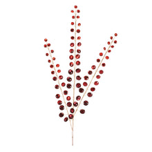 Load image into Gallery viewer, Jewel Bead Spray (Set of 4)
