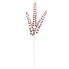 Load image into Gallery viewer, Jewel Bead Spray (Set of 4)
