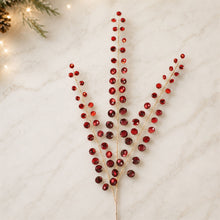 Load image into Gallery viewer, Jewel Bead Spray (Set of 4)
