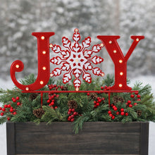 Load image into Gallery viewer, LED JOY Snowflake Planter Stake
