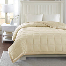 Load image into Gallery viewer, Hypoallergenic Microfiber Down Alternative Blanket - Full/Queen MP51-539 By Olliix
