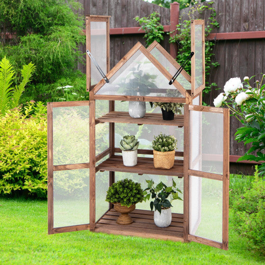 Cold Frame Mini Wooden Greenhouse for Vegetable and Flower-Brown