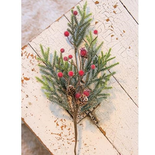 Mountain Pine with Berries Spray 18
