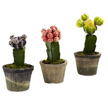 Load image into Gallery viewer, Colorful Cactus (Set of 3)
