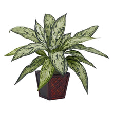 Load image into Gallery viewer, Silver Queen Silk Plant (Set of 2)
