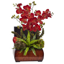 Load image into Gallery viewer, Autumn Orchid &amp; Succulent Arrangement w/Chest
