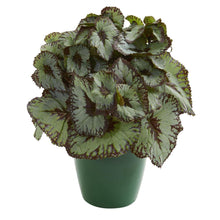 Load image into Gallery viewer, Rex Begonia Artificial Plant in Green Planter (Set of 2)
