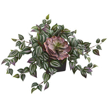 Load image into Gallery viewer, Echeveria and Wandering Jew Artificial Plant in Black Vase
