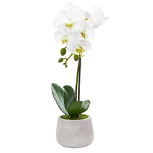 Load image into Gallery viewer, Phalaenopsis Orchid Artificial Arrangement (Set of 2)
