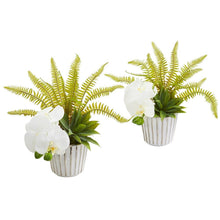 Load image into Gallery viewer, 13" Phalaenopsis Orchid, Agave and Fern Artificial Arrangement (Set of 2)
