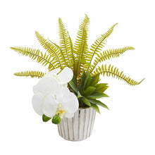 Load image into Gallery viewer, 13" Phalaenopsis Orchid, Agave and Fern Artificial Arrangement (Set of 2)
