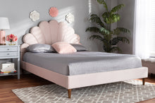 Load image into Gallery viewer, Baxton Studio Odille Modern Glam Light Pink Velvet Upholstered Walnut Brown Finished Wood Queen Size Seashell Shaped Platform Bed
