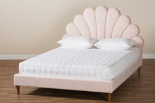 Load image into Gallery viewer, Baxton Studio Odille Modern Glam Light Pink Velvet Upholstered Walnut Brown Finished Wood Queen Size Seashell Shaped Platform Bed

