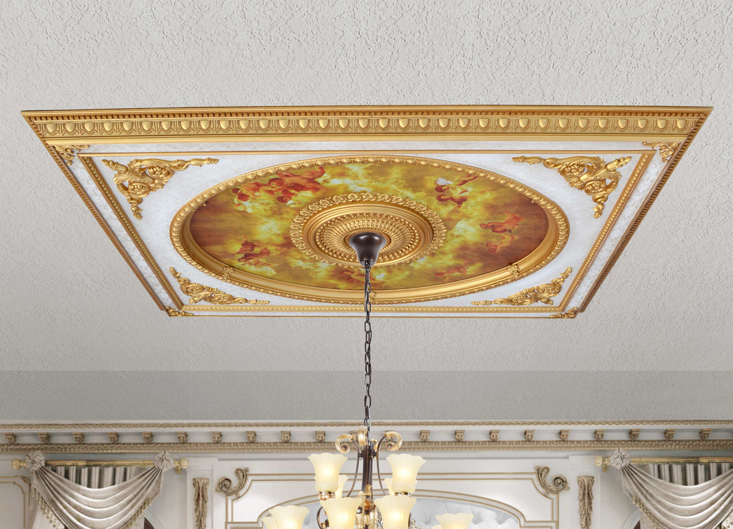 Classical Design Rectangular Ceiling Medallion 6ft x 8ft
