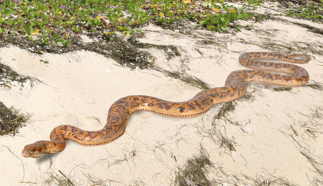 Python Snake 99.5