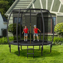 Load image into Gallery viewer, 10 Feet ASTM Approved Recreational Trampoline with Ladder-Black
