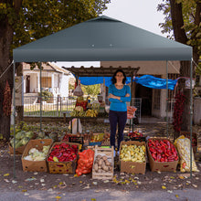 Load image into Gallery viewer, 10 x 10 Feet Foldable Outdoor Instant Pop-up Canopy with Carry Bag-Gray
