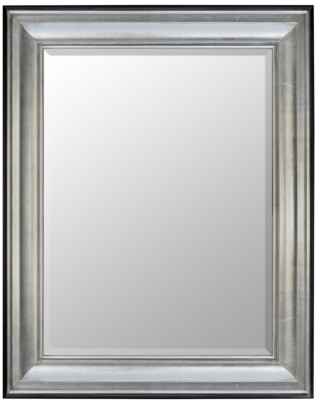Silver Raven Mirror 36X48 Tarnished Silver Black
