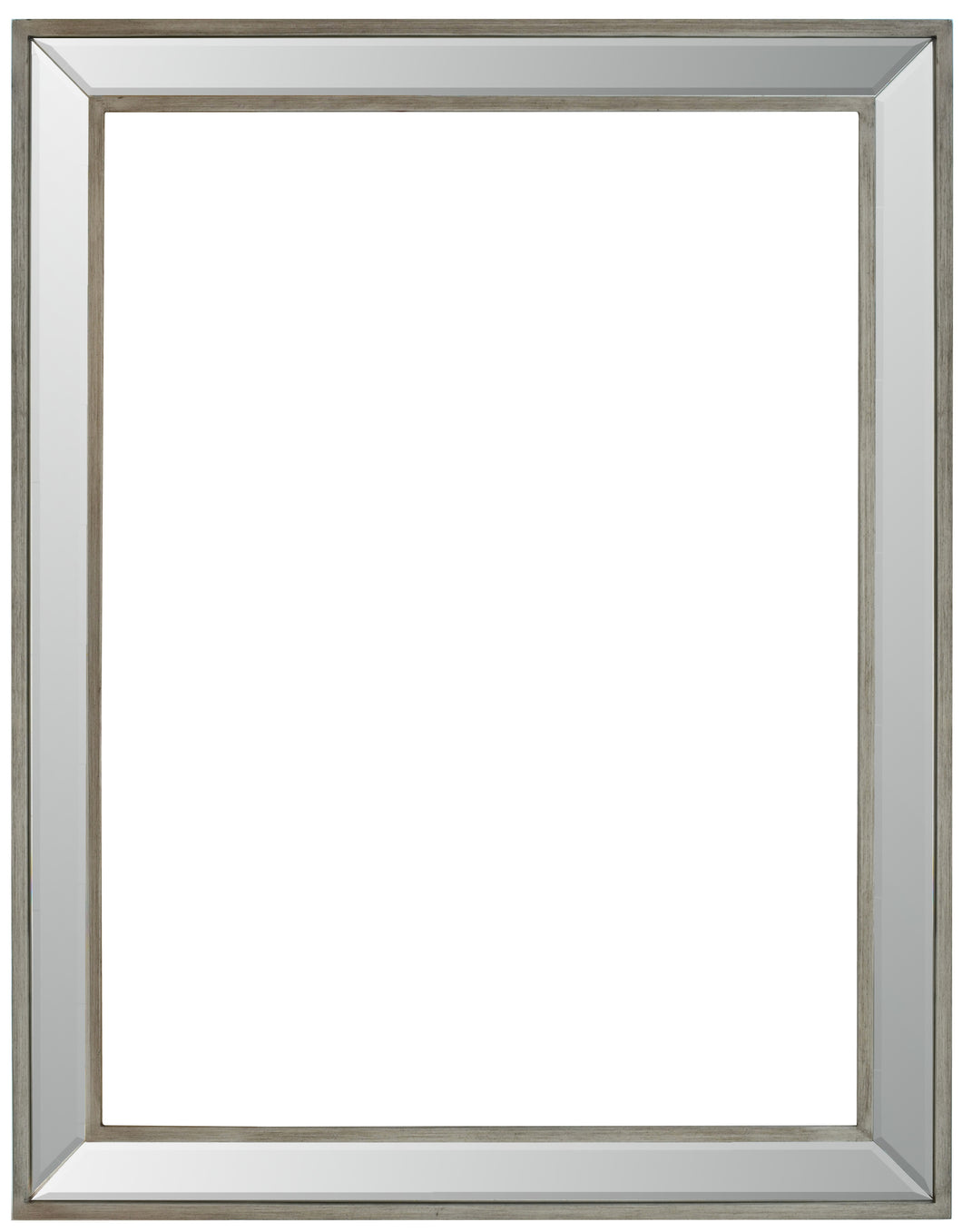 Brushed Spectrum Frame 24X36  Antique Silver