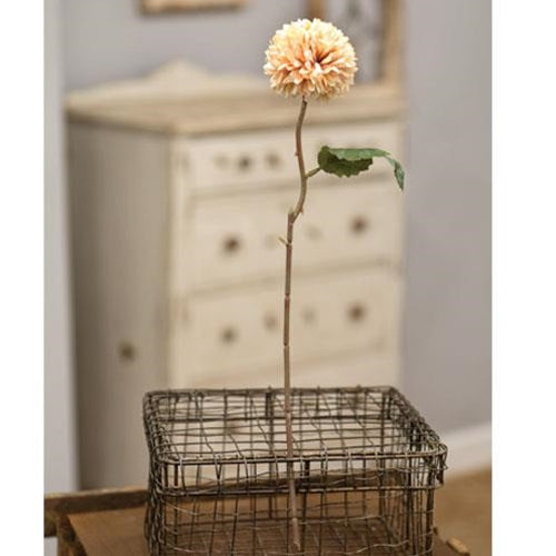 Pompom Flower Stem 14