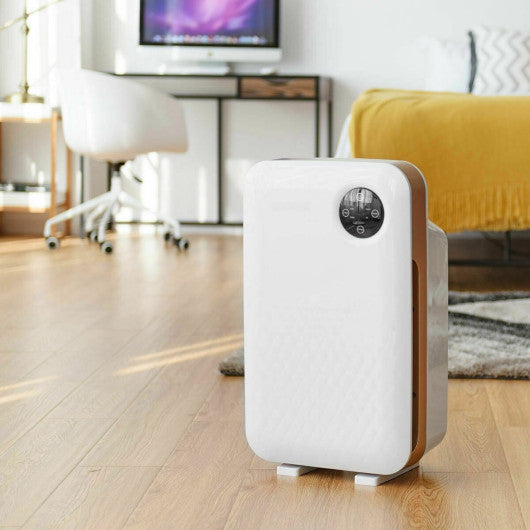 Air Purifier with True HEPA Activated Carbon Filter