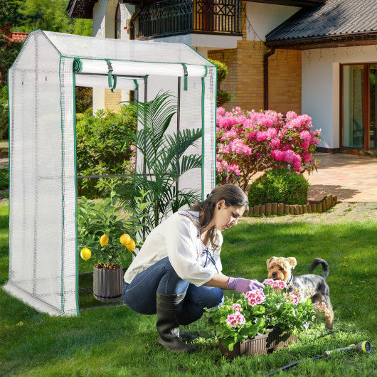 Walk-in Garden Greenhouse Warm House for Plant Growing