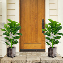 Load image into Gallery viewer, 2-Pack Artificial Fiddle Leaf Fig Tree
