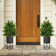 Load image into Gallery viewer, 2-Pack Artificial Cedar Topiary Ball Tree with Cement Pot
