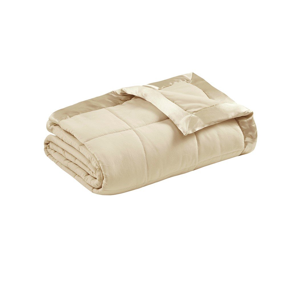 Hypoallergenic Microfiber Down Alternative Blanket - Twin MP51-538 By Olliix