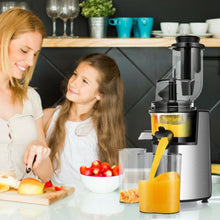 Load image into Gallery viewer, Slow Masticating Juicer Cold Press Juicer Extractor
