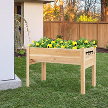 Load image into Gallery viewer, 48 x 24 x 32 Inch Elevated Wood Planter Box with Legs
