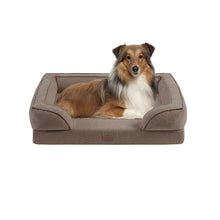 Load image into Gallery viewer, Martha Stewart Bella Allover Fls066-4 Pet Couch MS63PC5359M By Olliix
