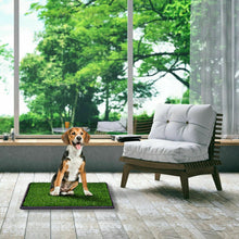 Load image into Gallery viewer, Utility Puppy Pet Potty Train Pee Dog Grass Pad

