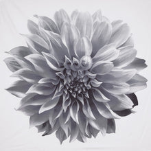 Load image into Gallery viewer, Norah 200Tc Cotton Percale Shower Curtain - MP70-7542
