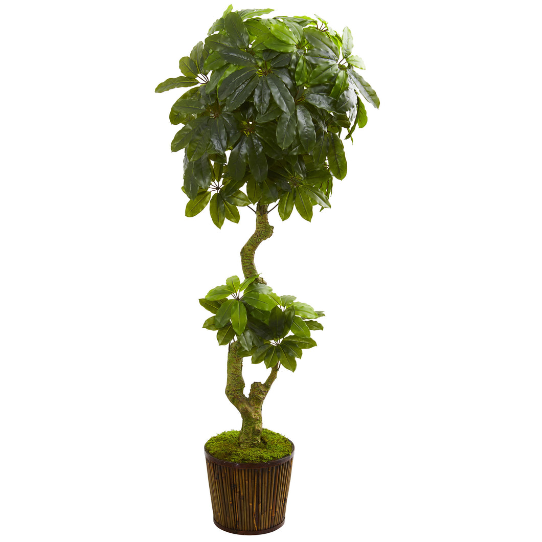 6' Schefflera Artificial Tree in Bamboo Stick Basket UV Resistant (Indoor/Outdoor)