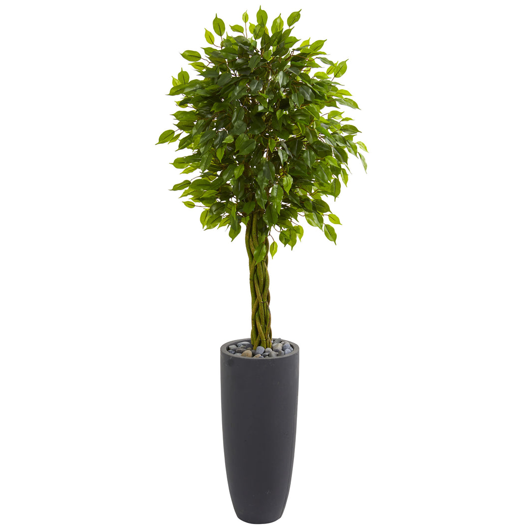 5.5'Braided Ficus Artificial Tree in Gray Cylinder Planter UV Resistant (Indoor/Outdoor)