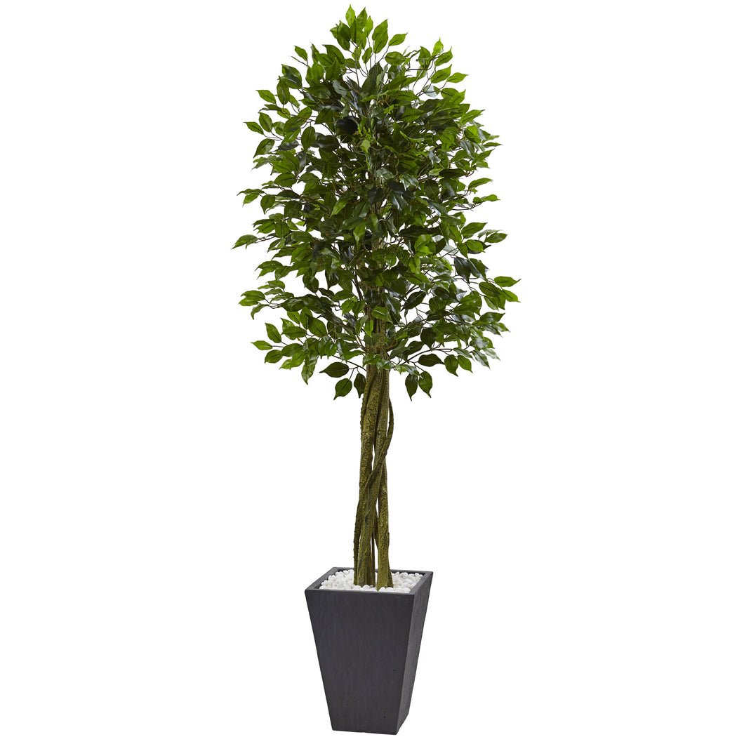 6.5'Ficus Tree with Slate Planter UV Resistant (Indoor Outdoor)