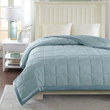 Load image into Gallery viewer, Hypoallergenic Microfiber Down Alternative Blanket -Full/Queen MP51-542 By Olliix
