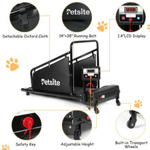 Load image into Gallery viewer, Indoor Pet Exercise Equipment with Remote Control
