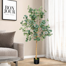 Load image into Gallery viewer, 5.5 Feet Artificial Eucalyptus Tree with 517 Silver Dollar Leaves
