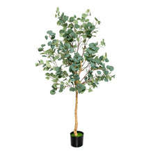 Load image into Gallery viewer, 5.5 Feet Artificial Eucalyptus Tree with 517 Silver Dollar Leaves
