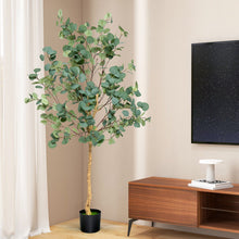 Load image into Gallery viewer, 5.5 Feet Artificial Eucalyptus Tree with 517 Silver Dollar Leaves
