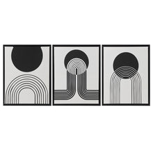 Load image into Gallery viewer, Cosmic Curl Framed Canvas 3 Piece Set UH95C-0030 By Olliix
