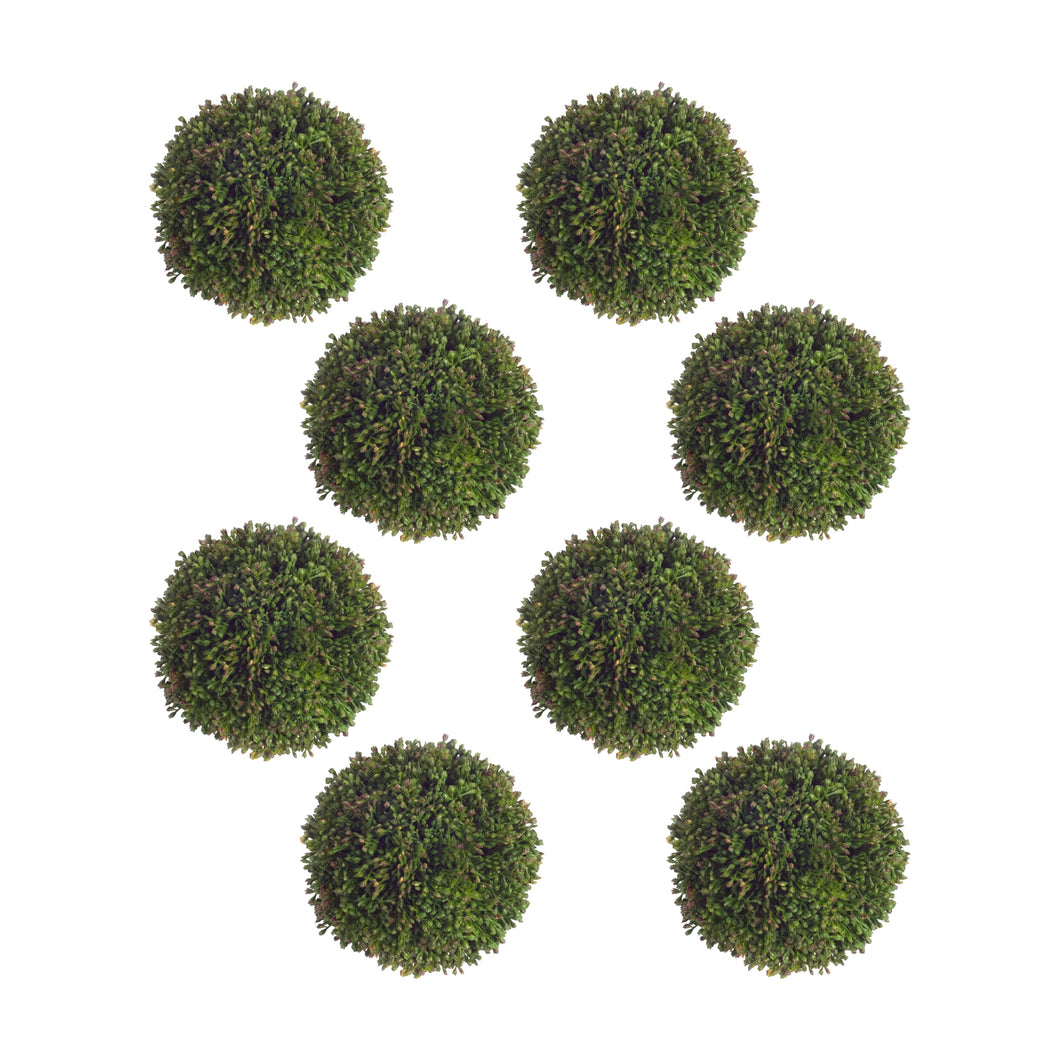 Boxwood Sedum Orb (Set of 8)