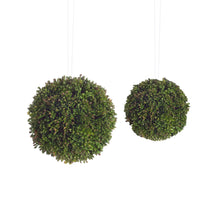Load image into Gallery viewer, Boxwood Sedum Orb (Set of 8)

