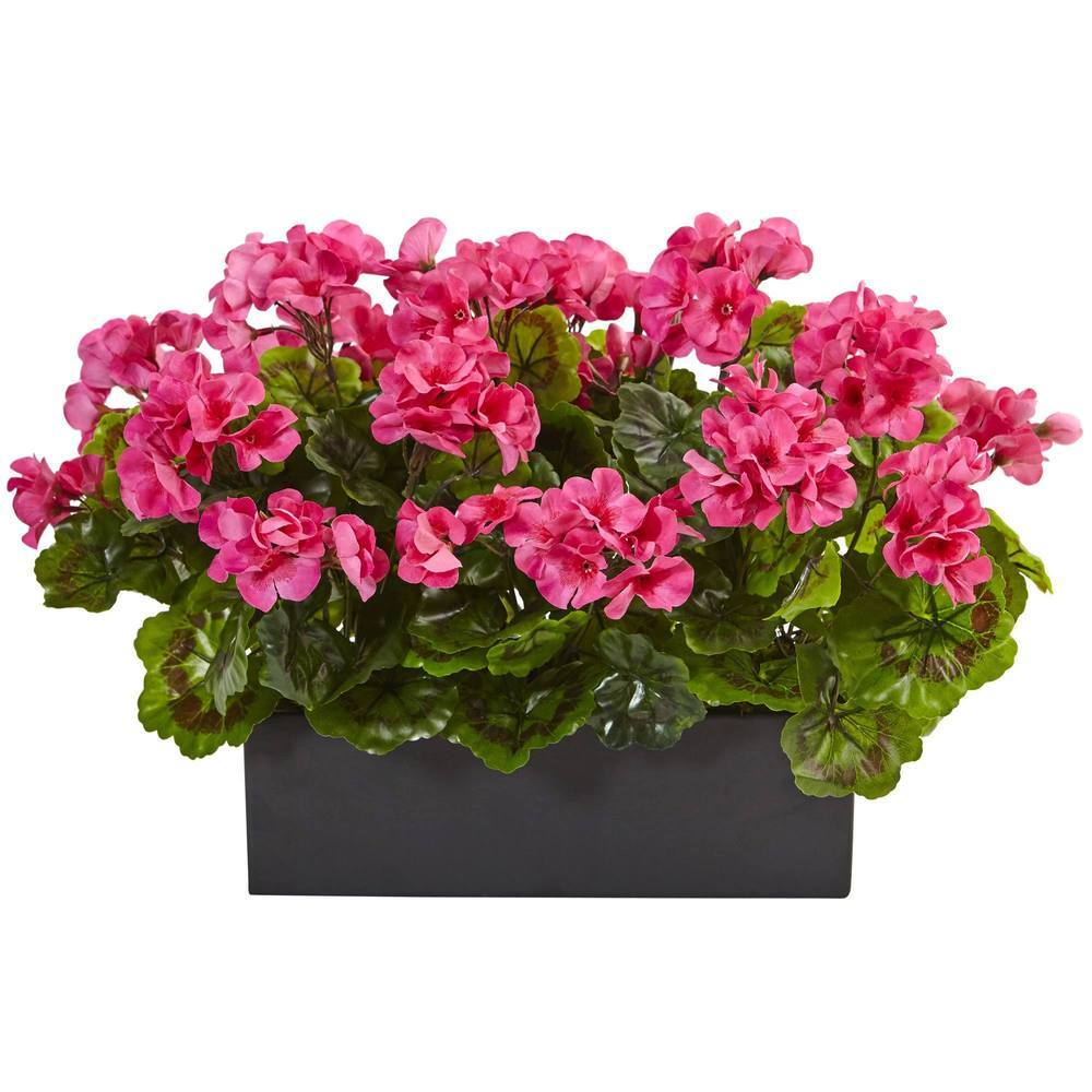 Geranium in Rectangular Planter UV Resistant (Indoor/Outdoor)