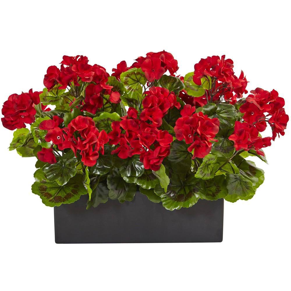Geranium in Rectangular Planter UV Resistant (Indoor/Outdoor)