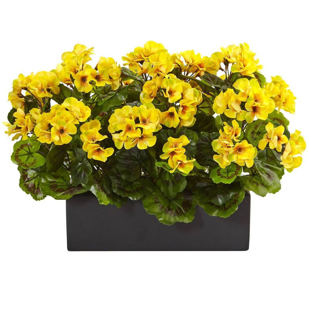 Geranium in Rectangular Planter UV Resistant (Indoor/Outdoor)