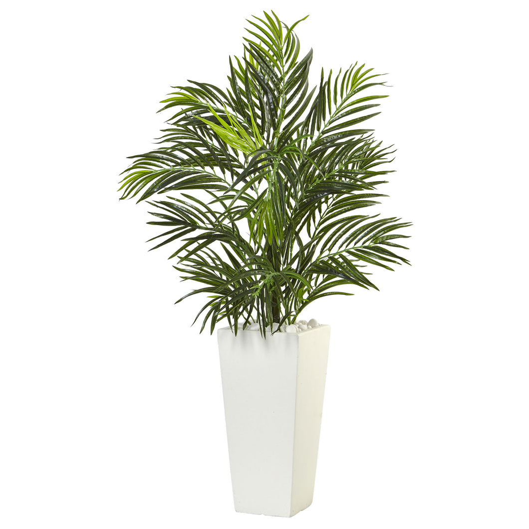 Areca Palm in White Square Planter